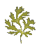 GIF - 890 octets